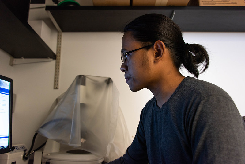 Student works at a computer