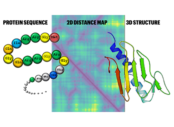 protein graphic