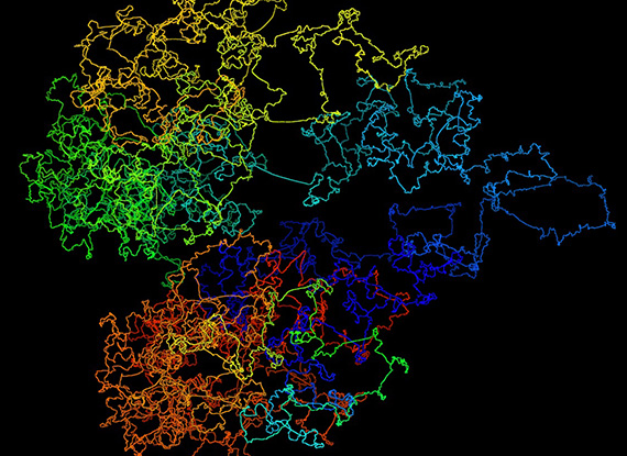 An image of the 3D model of the human genome