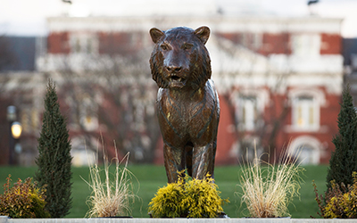 Tiger statue